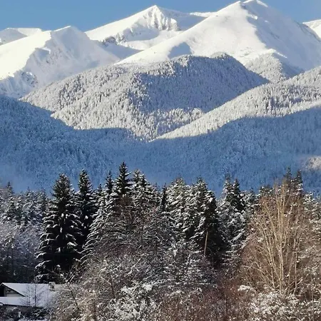 Cedar 42 * Bansko