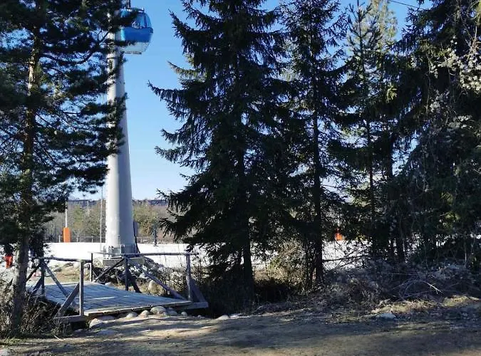 Cedar 42 Apartment *